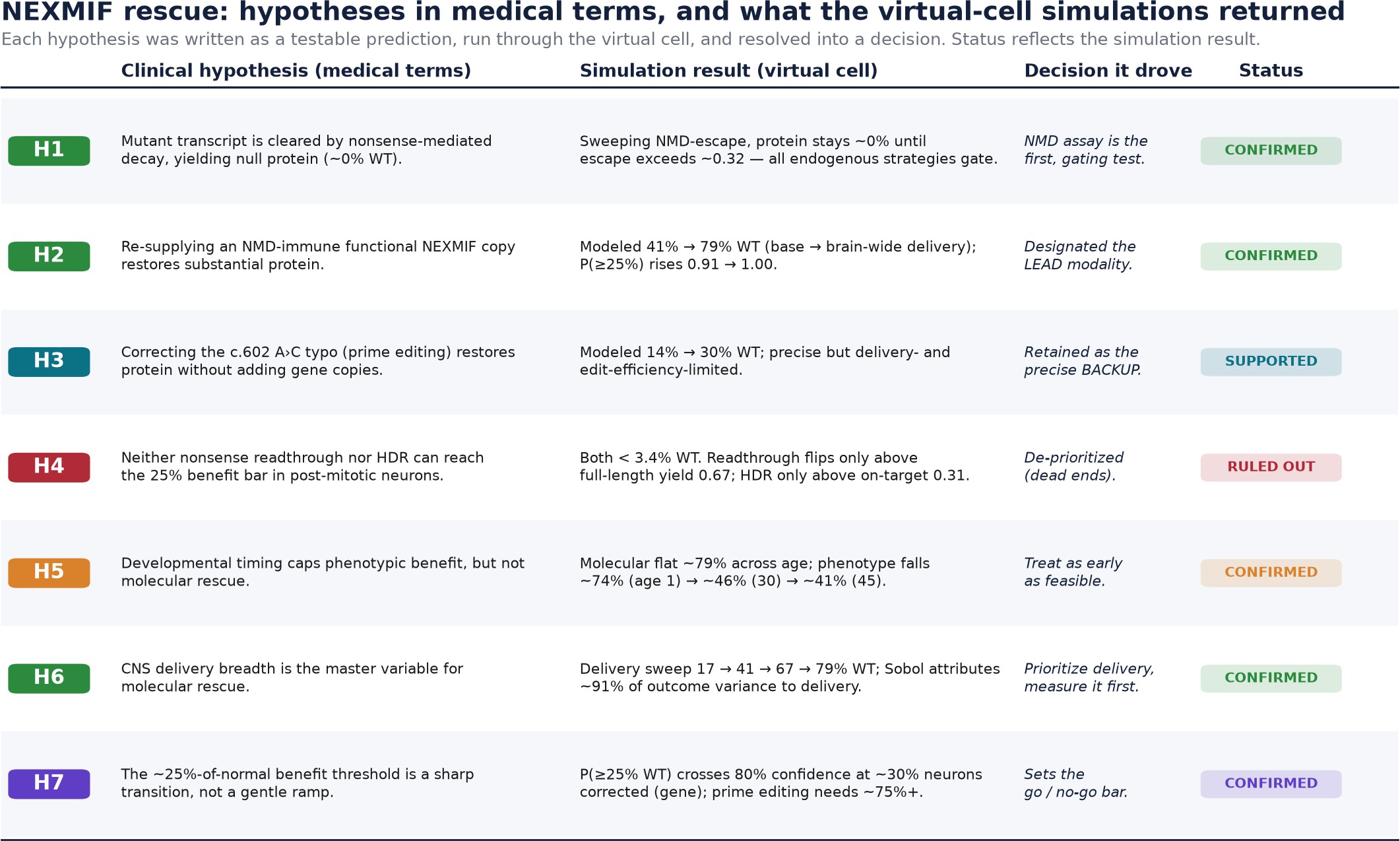 Table: each hypothesis in medical terms, the virtual-cell result that tested it, and the decision it drove.