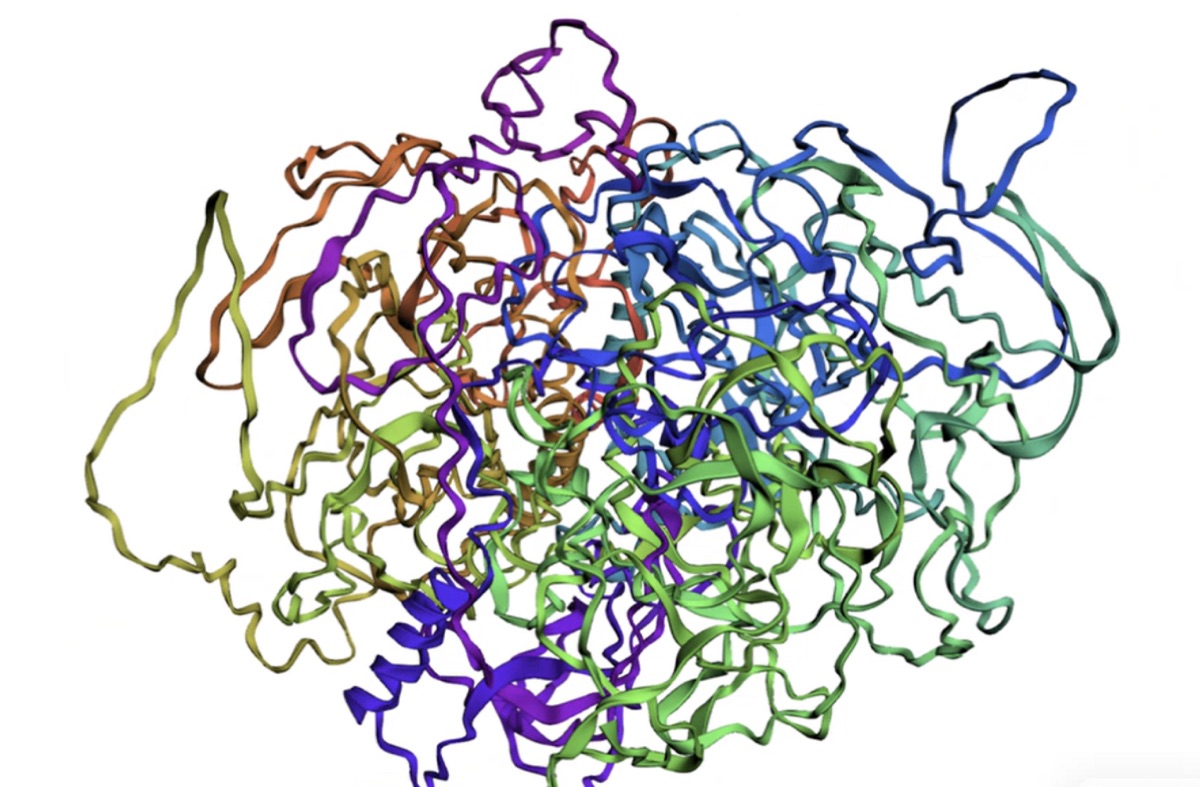 Predicted NEXMIF protein structure, shown as a rainbow-colored cartoon backbone from N-terminus (blue) to C-terminus (red).